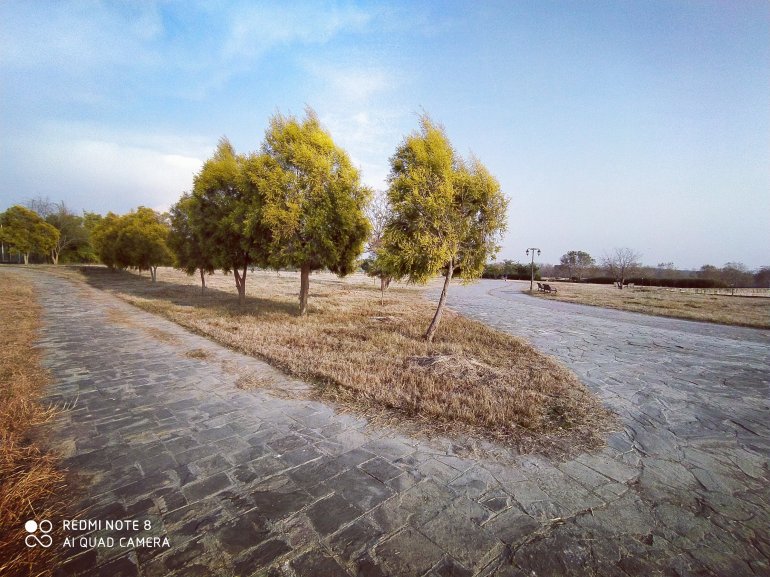 Life blog food health fitness